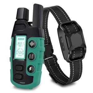 E-Collars