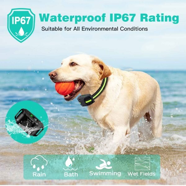 Affordable, Professional-Grade E-Collars for Dog Training - Image 7