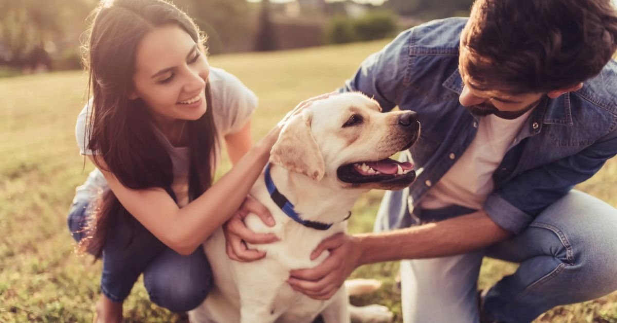 can dogs understand humans